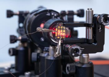 Quantum Random Generator Accelerates